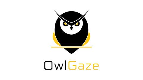 OwlGaze | French Chamber of Commerce and Industry in Hong Kong