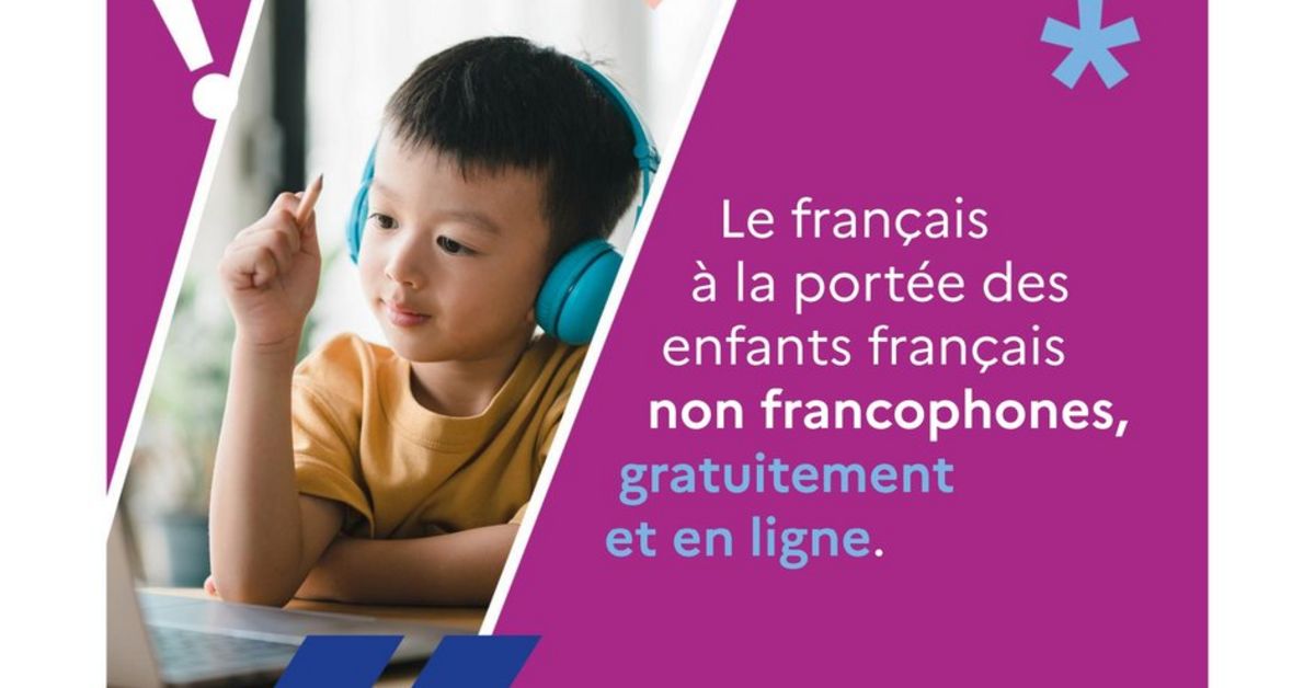 [FRENCH] Le dispositif 